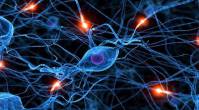 آموزش شبکه عصبی مصنوعی به همراه تشریح کامل مسائل